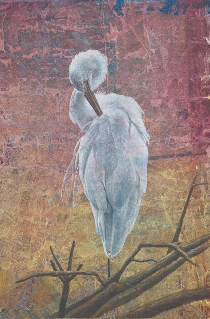 Stumme_Grey